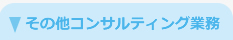 その他のコンサルティング業務
